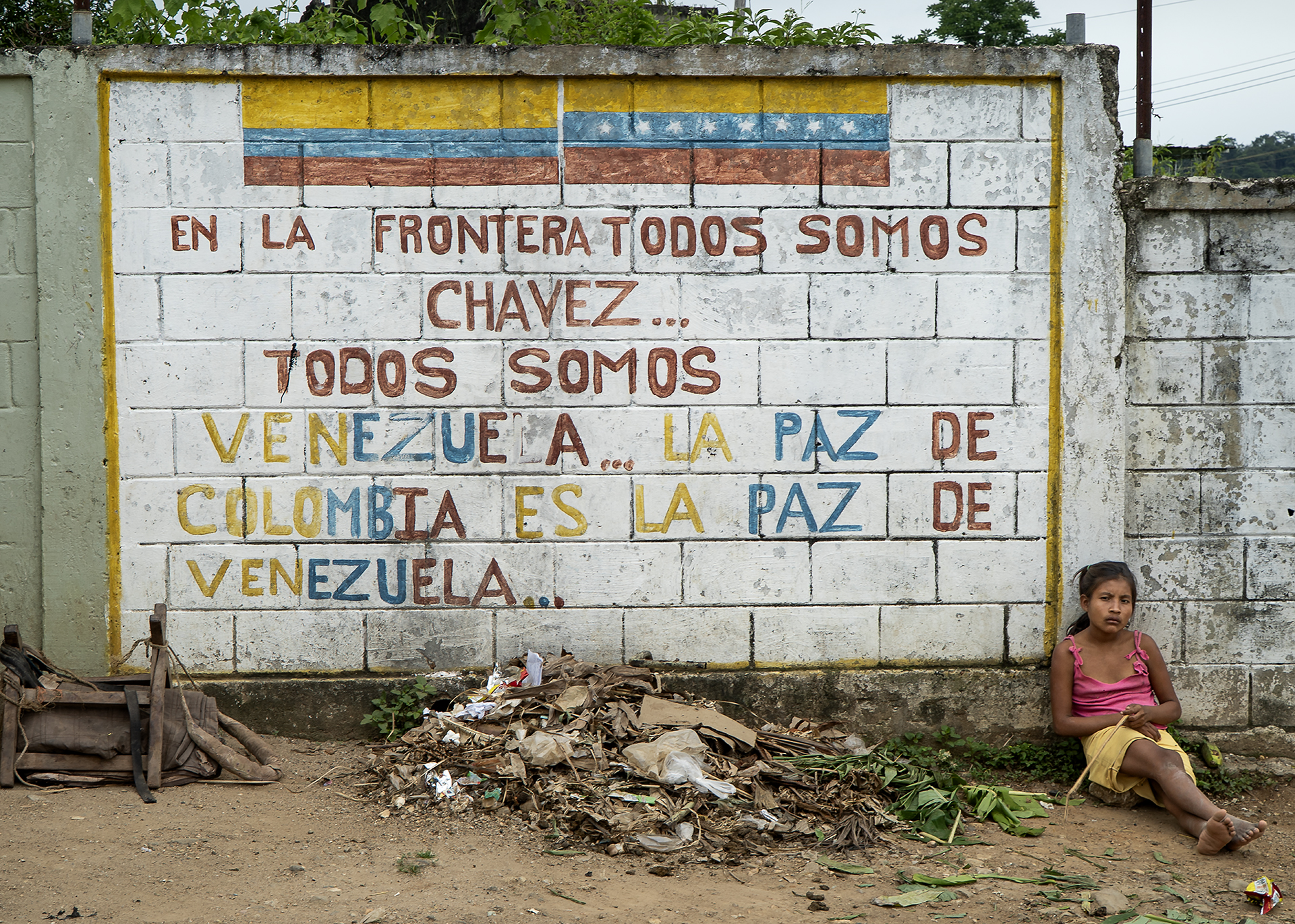 Migraciones: seguir la vida en otro lugar
